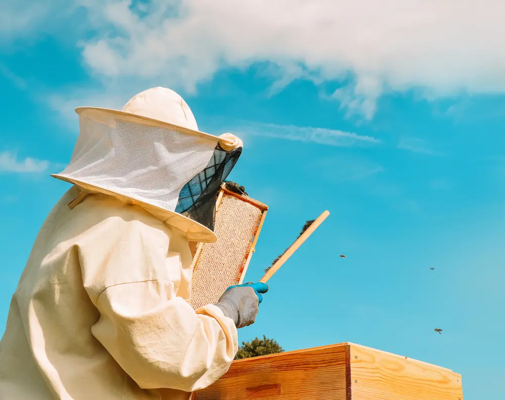 Beekeeper with hive